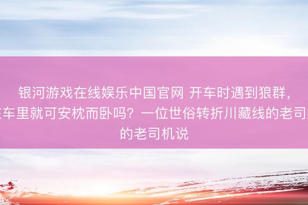 银河游戏在线娱乐中国官网 开车时遇到狼群，躲在车里就可安枕而卧吗？一位世俗转折川藏线的老司机说