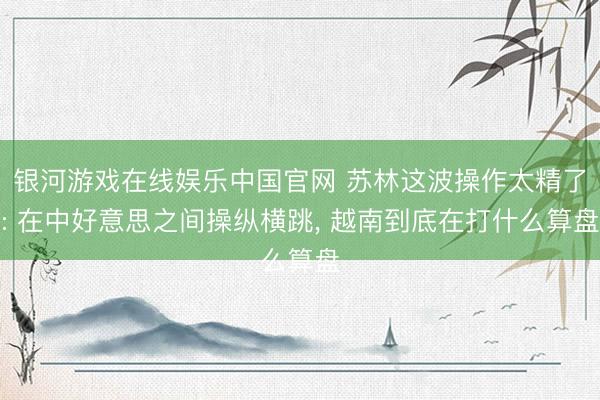 银河游戏在线娱乐中国官网 苏林这波操作太精了: 在中好意思之间操纵横跳， 越南到底在打什么算盘