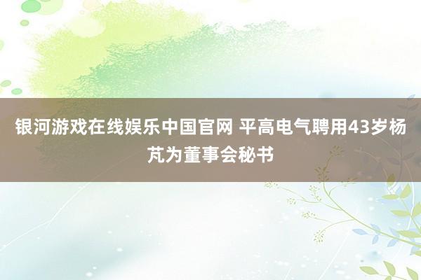 银河游戏在线娱乐中国官网 平高电气聘用43岁杨芃为董事会秘书